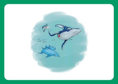 Pêcher sans Filets